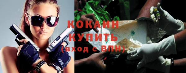 стаф Балахна