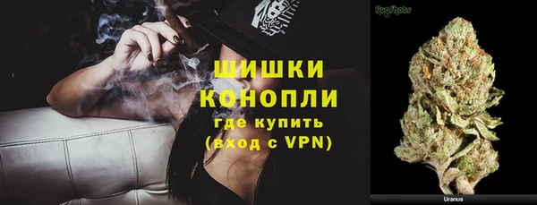 стаф Балахна