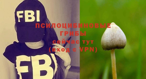 кокс Баксан