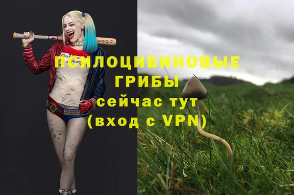 стаф Балахна