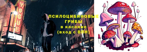 кокс Баксан